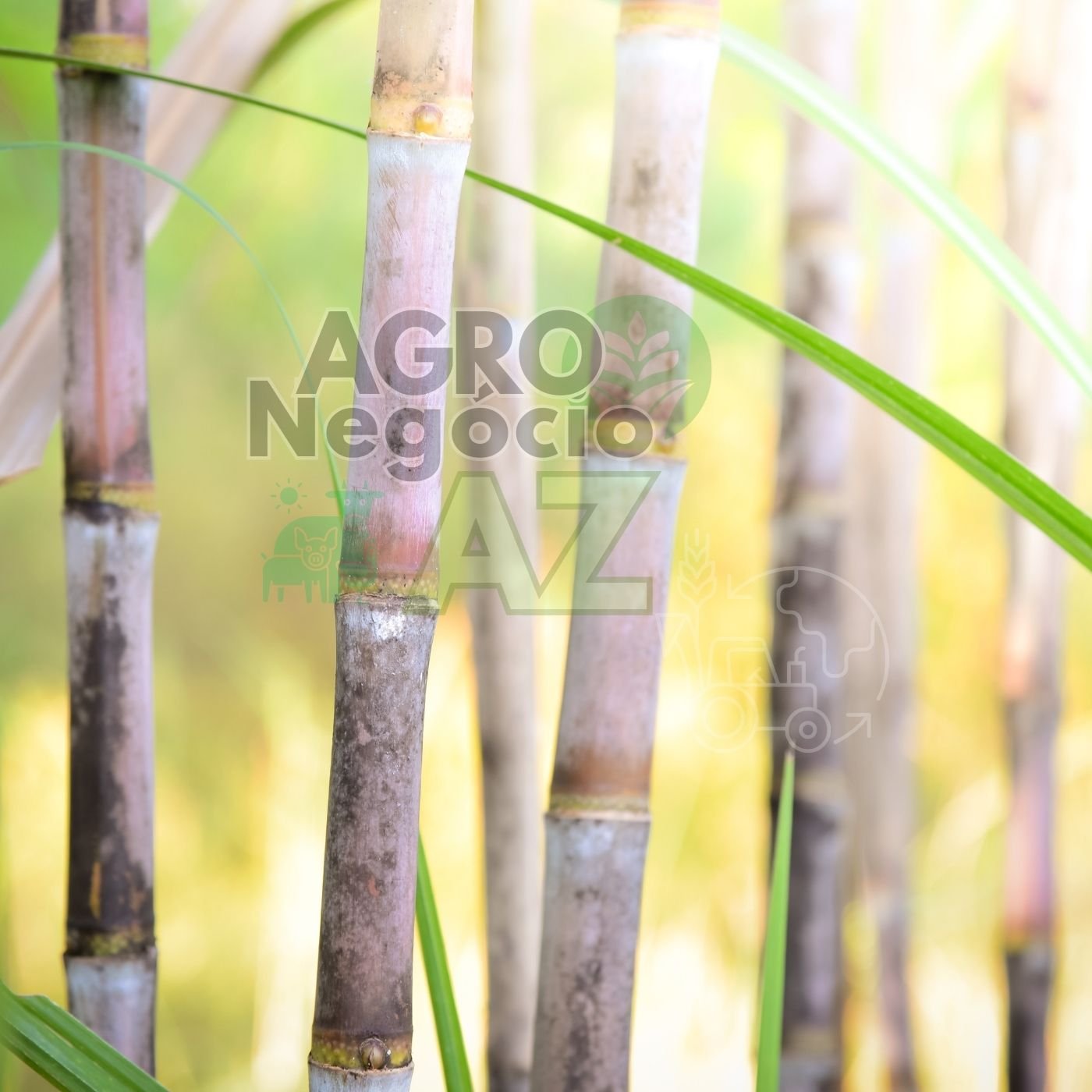 821b3f69663c41bb9d45c07f024ad69c