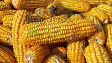 ab70eeec8d56436eb682feea557217b5