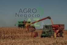 afae4a03367a406c91b64d9e9bd8bda1