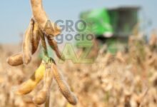 b51c3c7ae6d54ea9ae4f8b7fd749a59d