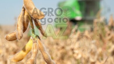 b51c3c7ae6d54ea9ae4f8b7fd749a59d