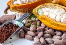 d8d77d88192a4488ae0292640e725e8a