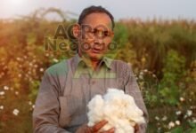 eab61bf1470c40f5a04fecc8029bf7d6