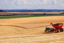 Conheça 3 Fábricas de máquinas e equipamentos para a agricultura e pecuária no Maranhão