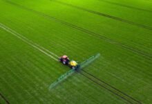 Conheça 7 Fábricas de máquinas e equipamentos para a agricultura e pecuária na Paraíba
