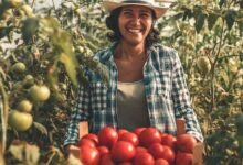 Brasil projeta mercado de R$ 705 bilhões com integração entre agronegócio e floresta