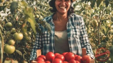 Brasil projeta mercado de R$ 705 bilhões com integração entre agronegócio e floresta