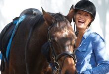 Como Saber a Idade de um Cavalo Olhando os Dentes (Passo a Passo)