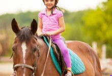 7 Sinais de que Seu Cavalo Confia (ou Não) em Você