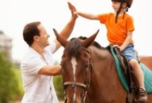 Bebedouros Automáticos vs. Manuais para Cavalos: Vantagens e Riscos