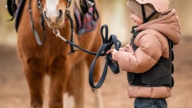Presentear com um Cavalo: Tudo que Você Precisa Saber