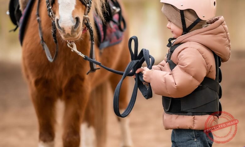 Presentear com um Cavalo: Tudo que Você Precisa Saber